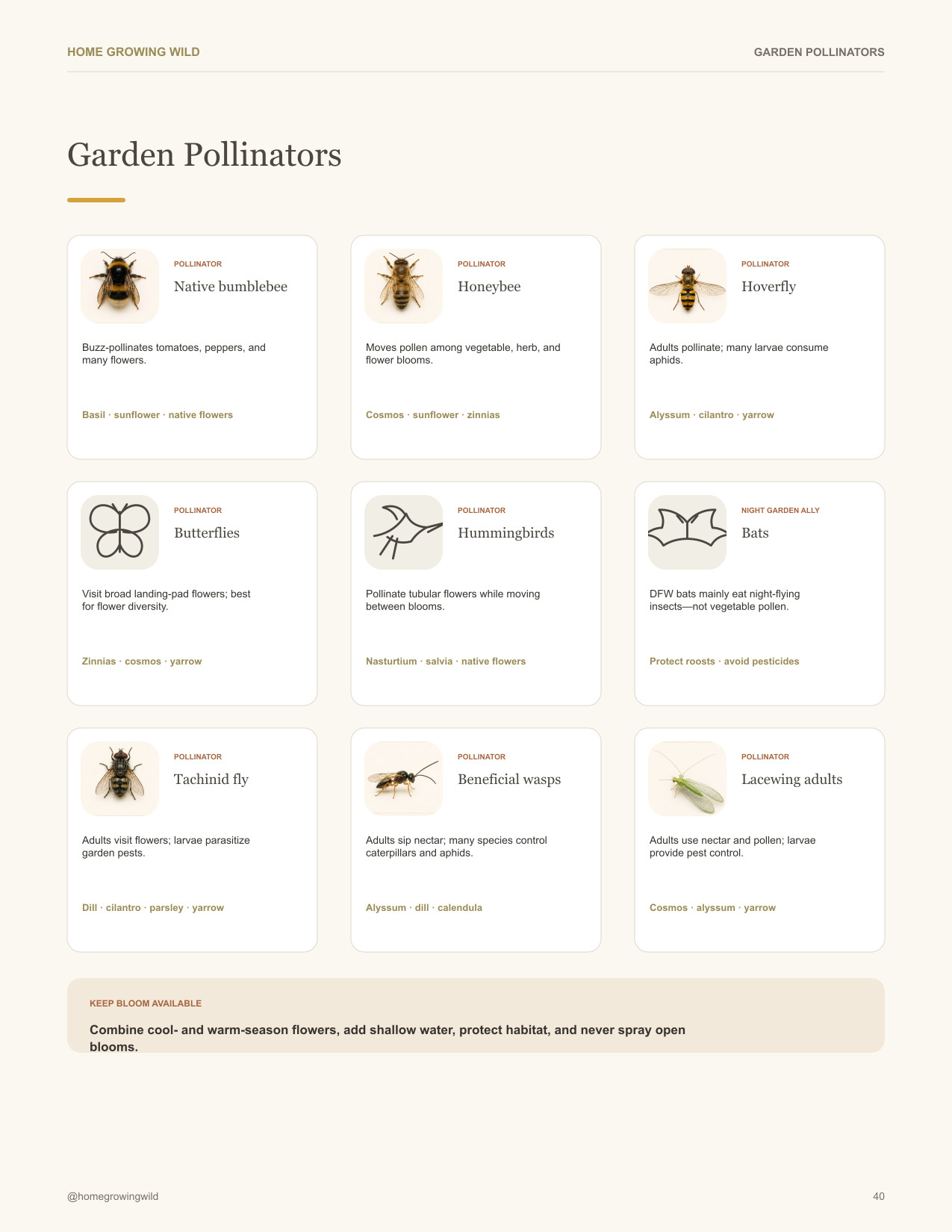Garden pollinator reference preview